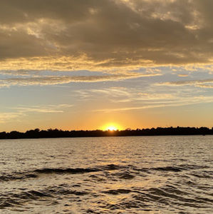 Meet your Posher, Paige